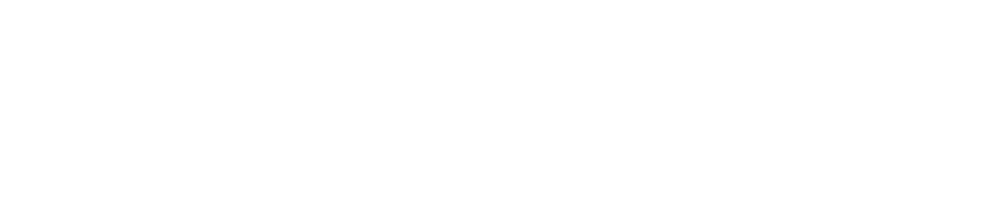 Profectus Info Logo